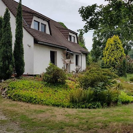 Ferienwohnung "Waldfrieden" Altdobern Esterno foto